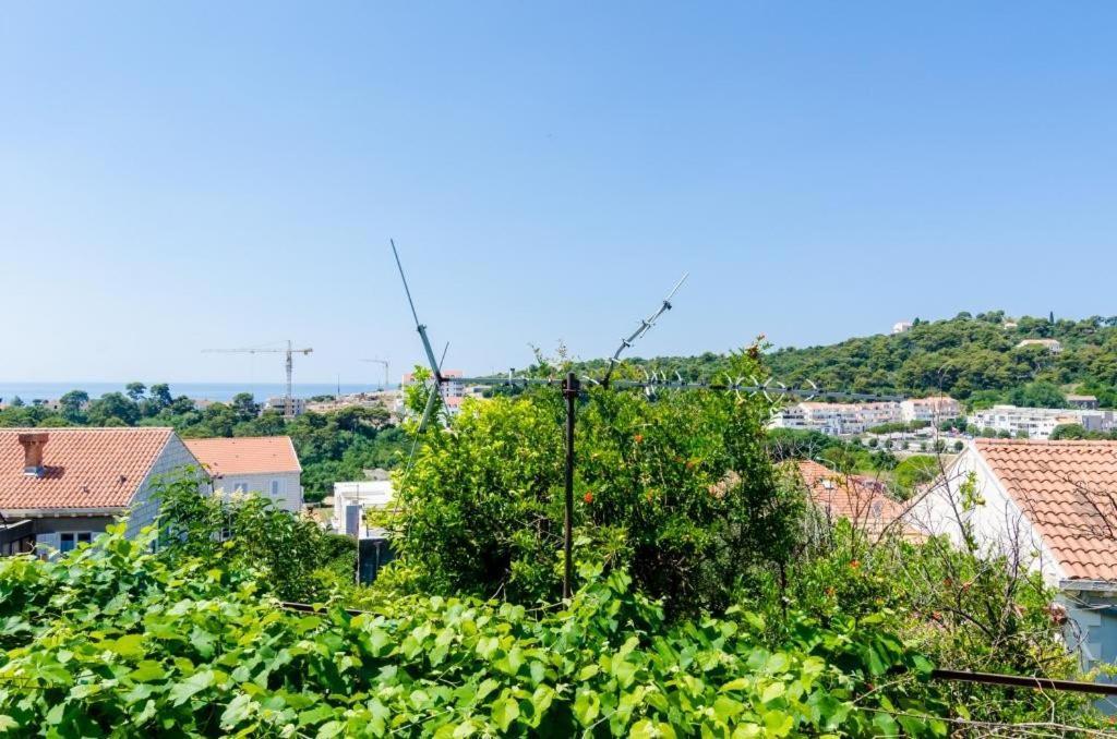 Mara Dubrovnik